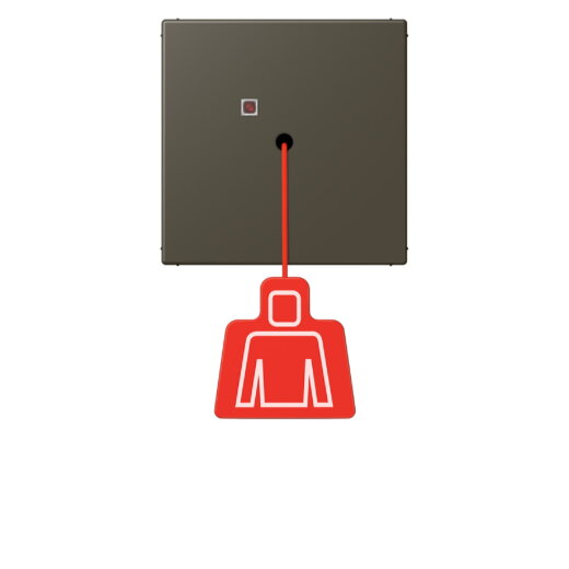 Jung Notrufsystem Zugtaster, Serie LS, ombre naturelle 31 NRSLC0834ZT241