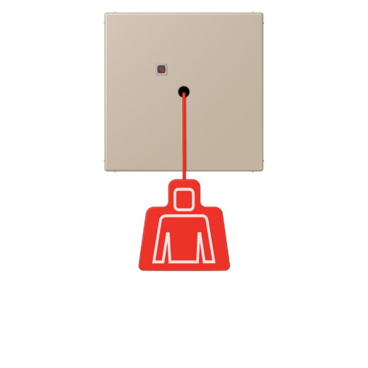 Jung Notrufsystem Zugtaster, Serie LS, ombre naturelle claire NRSLC0834ZT243