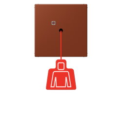 Jung Notrufsystem Zugtaster, Serie LS, terre sienne...