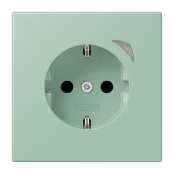 Jung HOME SCHUKO® Steckdose, 16 A 250 V ~, Energy,...