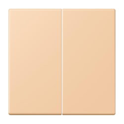 Jung Wippe 2fach, Serie LS, terre sienne claire 31 LC995237