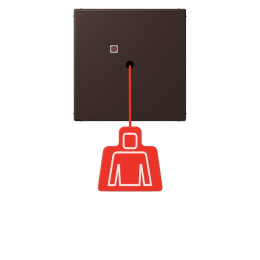 Jung Notrufsystem Zugtaster, Serie LS, terre d?ombre br?lée 59 NRSLC0834ZT252