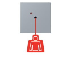 Jung Notrufsystem Zugtaster, Serie LS, gris clair 59...