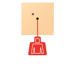 Jung Notrufsystem Zugtaster, Serie LS, terre sienne...