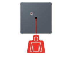 Jung Notrufsystem Zugtaster, Serie LS, gris fonce 59...