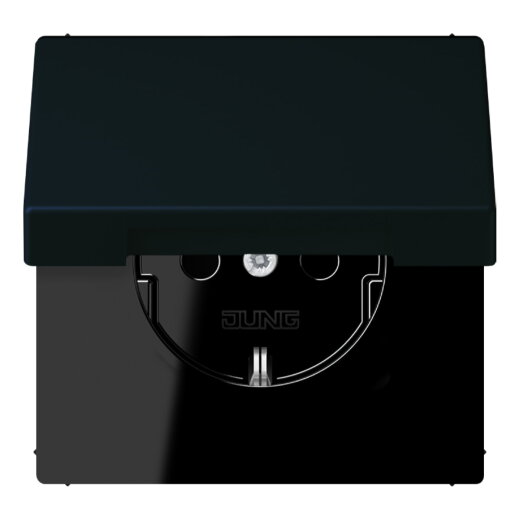 Jung SCHUKO Steckdose, 16 A 250 V ~, Serie LS, noir divoire LC1520BFKIKL248