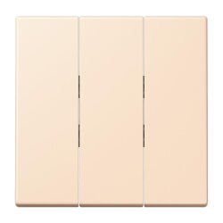 Jung Wippe 3fach, Thermoplast lackiert, Serie LS, terre...