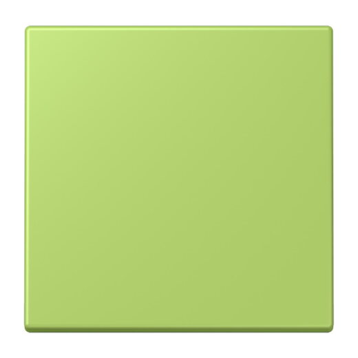 Jung Wippe 1fach, Serie LS, vert clair LC990221