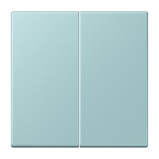 Jung LB-Management Taster 2fach, Duroplast lackiert, Serie LS, céruléen clair LC1702214