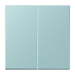 Jung LB-Management Taster 2fach, Duroplast lackiert,...