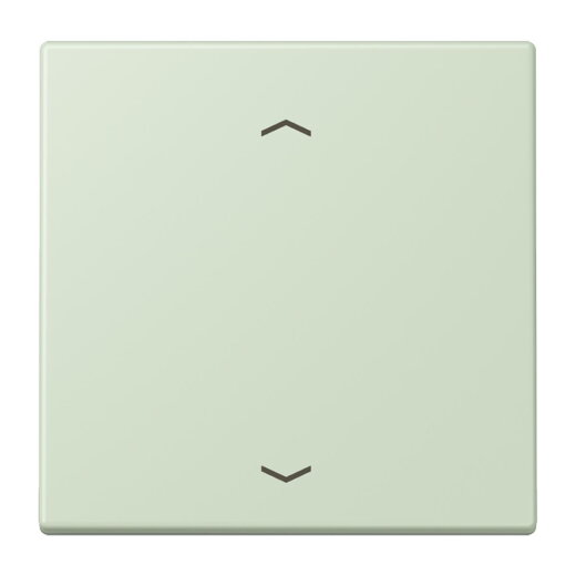 Jung Wippe 1fach, mit Pfeilsymbolen, Serie LS, vert anglâis pale LC990P218