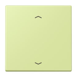 Jung Wippe 1fach, mit Pfeilsymbolen, Serie LS, vert jaune...