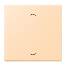 Jung Wippe 1fach, mit Pfeilsymbolen, Serie LS, ocre...