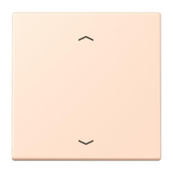 Jung Wippe 1fach, mit Pfeilsymbolen, Serie LS, rose...