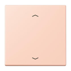 Jung Wippe 1fach, mit Pfeilsymbolen, Serie LS, locre...