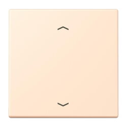 Jung Wippe 1fach, mit Pfeilsymbolen, Serie LS, terre...