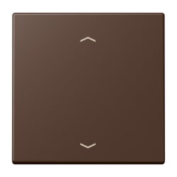 Jung Wippe 1fach, mit Pfeilsymbolen, Serie LS, terre...