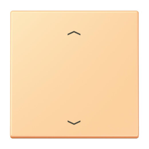 Jung Wippe 1fach, mit Pfeilsymbolen, Serie LS, terre sienne claire 59 LC990P258