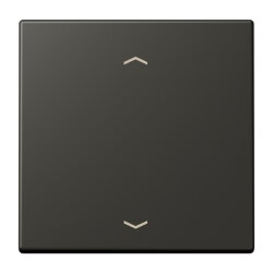 Jung Wippe 1fach, mit Pfeilsymbolen, Serie LS, ombre...