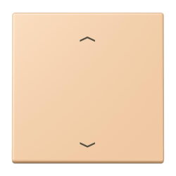 Jung LB-Management Taster 1fach, mit Pfeilsymbolen,...