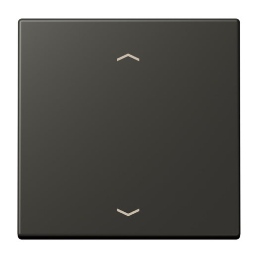 Jung LB-Management Taster 1fach, mit Pfeilsymbolen, Duroplast lackiert, Serie LS, ombre naturelle 59 LC1700P259