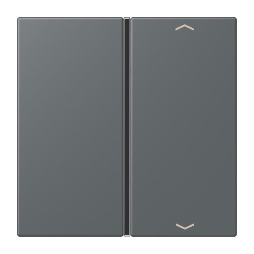 Jung Taste 1fach, mit Pfeilsymbolen, F40, Serie LS, gris foncé 31 LC401TSAP202