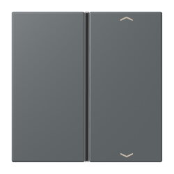 Jung Taste 1fach, mit Pfeilsymbolen, F40, Serie LS, gris...