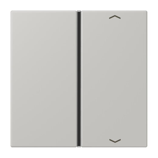 Jung Taste 1fach, mit Pfeilsymbolen, F40, Serie LS, gris clair 31 LC401TSAP205