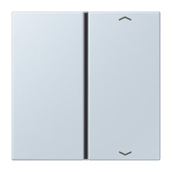 Jung Taste 1fach, mit Pfeilsymbolen, F40, Serie LS,...