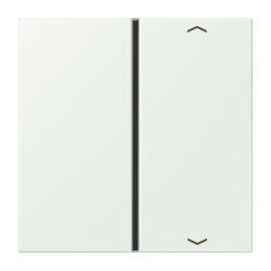 Jung Taste 1fach, mit Pfeilsymbolen, F40, Serie LS,...