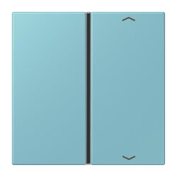 Jung Taste 1fach, mit Pfeilsymbolen, F40, Serie LS,...