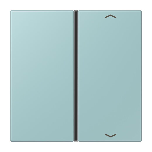 Jung Taste 1fach, mit Pfeilsymbolen, F40, Serie LS, céruléen clair LC401TSAP214