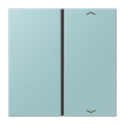 Jung Taste 1fach, mit Pfeilsymbolen, F40, Serie LS,...