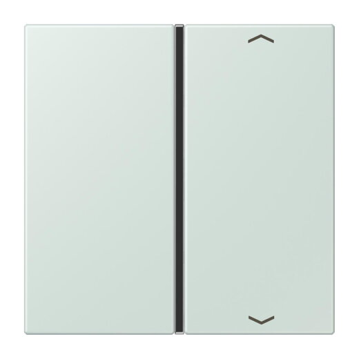 Jung Taste 1fach, mit Pfeilsymbolen, F40, Serie LS, céruléen pale LC401TSAP215