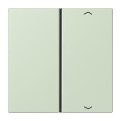 Jung Taste 1fach, mit Pfeilsymbolen, F40, Serie LS, vert...