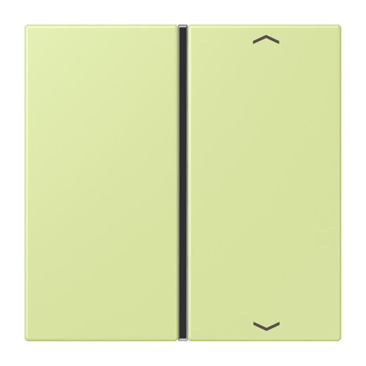 Jung Taste 1fach, mit Pfeilsymbolen, F40, Serie LS, vert jaune clair LC401TSAP222