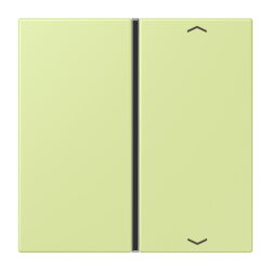 Jung Taste 1fach, mit Pfeilsymbolen, F40, Serie LS, vert...