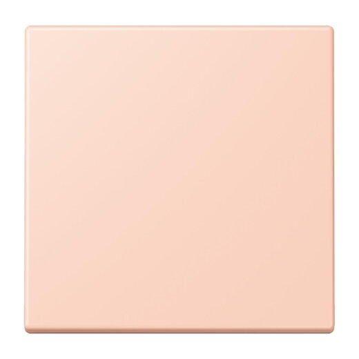 Jung Wippe für Taster 1fach, Serie LS, locre rouge clair LC101234