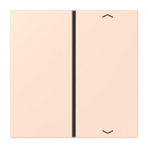 Jung Taste 1fach, mit Pfeilsymbolen, F40, Serie LS, orange pâle LC401TSAP226