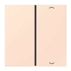 Jung Taste 1fach, mit Pfeilsymbolen, F40, Serie LS,...