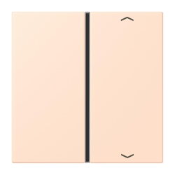 Jung Taste 1fach, mit Pfeilsymbolen, F40, Serie LS, rose...