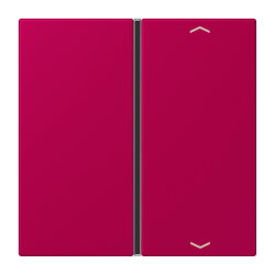 Jung Taste 1fach, mit Pfeilsymbolen, F40, Serie LS, rouge...