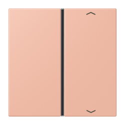 Jung Taste 1fach, mit Pfeilsymbolen, F40, Serie LS, rose...