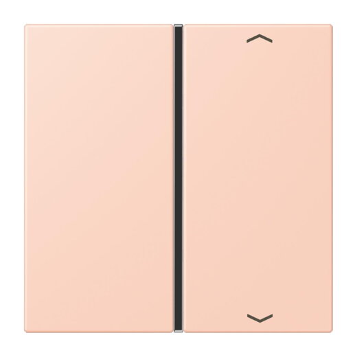 Jung Taste 1fach, mit Pfeilsymbolen, F40, Serie LS, locre rouge clair LC401TSAP234