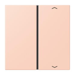 Jung Taste 1fach, mit Pfeilsymbolen, F40, Serie LS, locre...