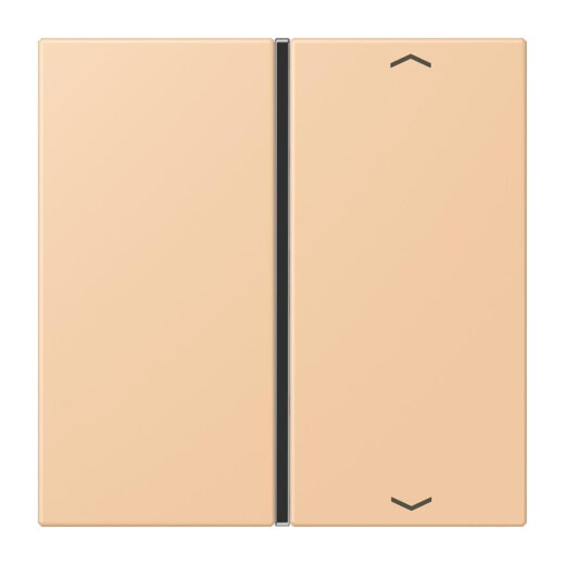 Jung Taste 1fach, mit Pfeilsymbolen, F40, Serie LS, terre sienne claire 31 LC401TSAP237