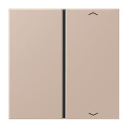 Jung Taste 1fach, mit Pfeilsymbolen, F40, Serie LS, ombre...