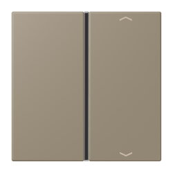 Jung Taste 1fach, mit Pfeilsymbolen, F40, Serie LS, ombre...