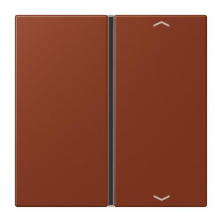 Jung Taste 1fach, mit Pfeilsymbolen, F40, Serie LS, terre...