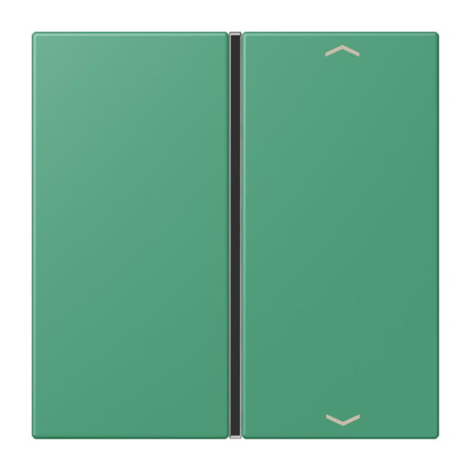 Jung Taste 1fach, mit Pfeilsymbolen, F40, Serie LS, vert 59 LC401TSAP250